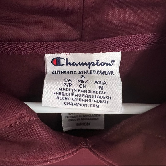 NWT Champion MN Gophers hoodie - Picture 3 of 9